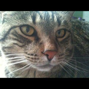 Meet your Posher, Holly